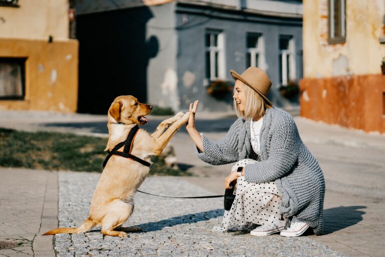 girl, dog, pet, friendship, companion, owner, caucasian, blonde, caucasian female, blonde female, canine, domestic dog, doggy, happy, animal, love, woman, cute, puppy, dog, nature, dog, dog, dog, dog