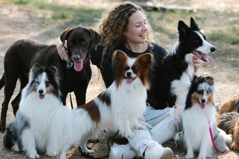 A cheerful woman surrounded by various dog breeds in a sunny outdoor setting.
