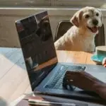Crop anonymous young African American female freelancer using netbook and drinking coffee while sitting at table near dog
